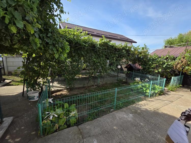 Casa 127 mp + teren 1800 mp, foisor si iaz - Dragasani - 9