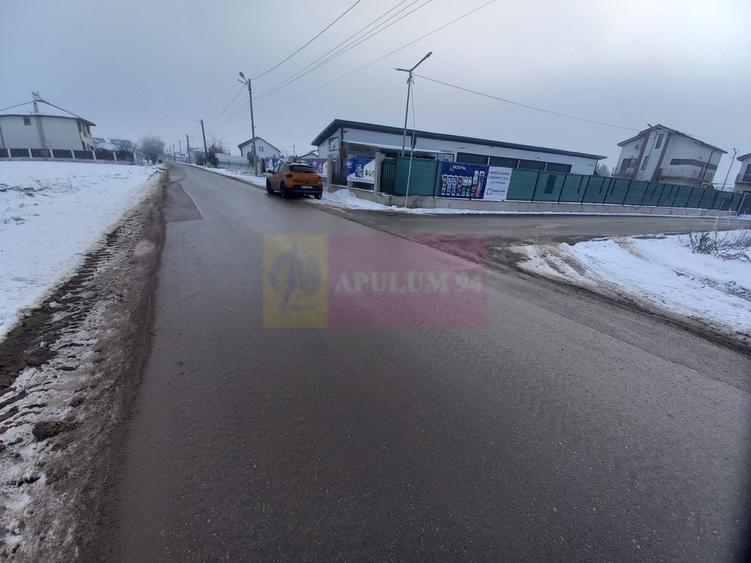 Teren Domnesti de vanzare - 3