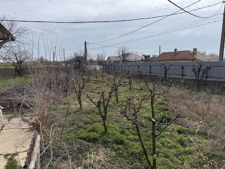 Casa De Vanzare jud Tulcea com Stejaru - 4