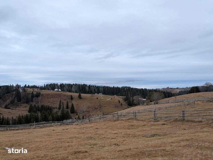 Vand Teren Intravilan in Maguri-Racatau cu CF si CU - 6