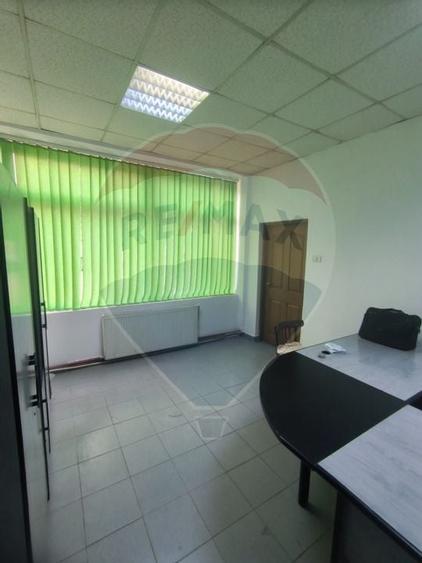 Spatiu industrial de 435mp de inchiriat in zona Sannicolau Mic - 8