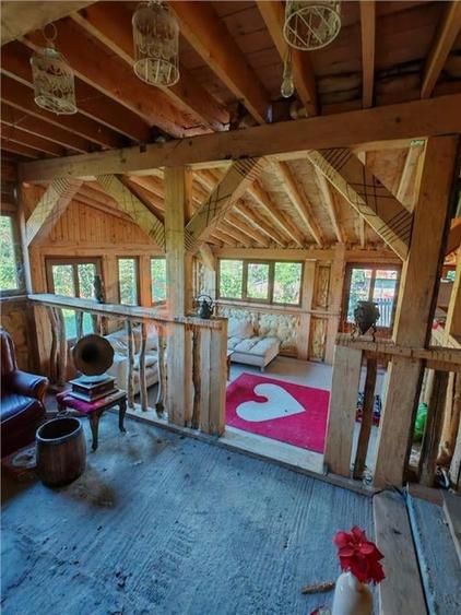 Teren intravilan + casa zona Fintesti - 21