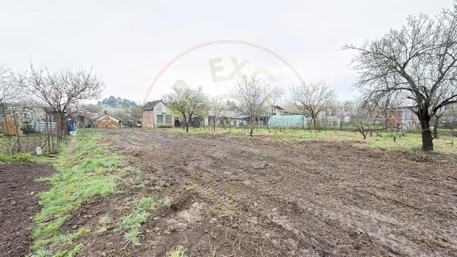 De vânzare 2 Case de vinificație cu Teren 4108 mp - Grădina Viilor - Carei - 19