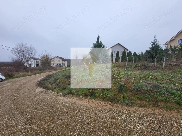 Teren extravilan Paleu - 1