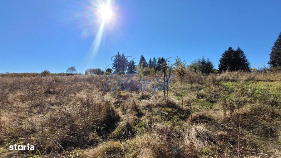 Teren intavilan, 4800 mp, front la strada, utilitati, Rasca - 7