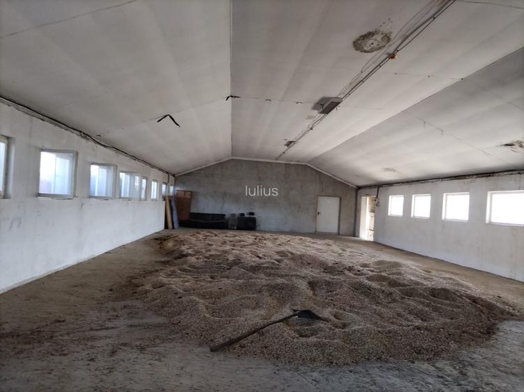 Spațiu comercial, 800 mp în Hălchiu