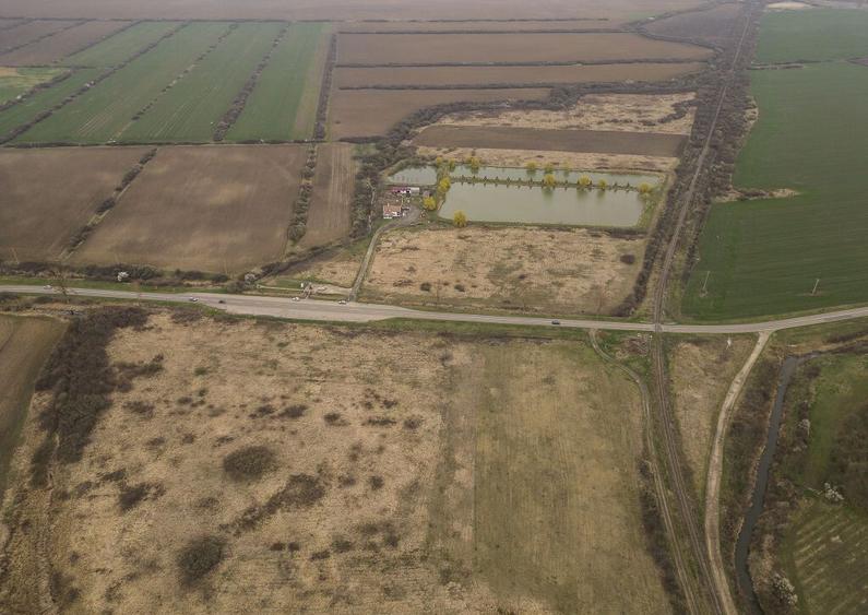 Teren extravilan in Ineu - 25