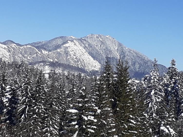 Teren construibil pe munte PUZ, ridicare TOPO, studiu Geo,, apa gaz, curent - 1