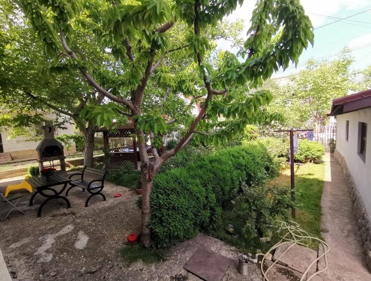 Constanta, Lazu, vila 5 camere, p+1, 360mp cu gradina deosebita - 4