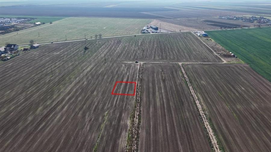 RECO Teren intravilan in LIvada de Bihor - 2