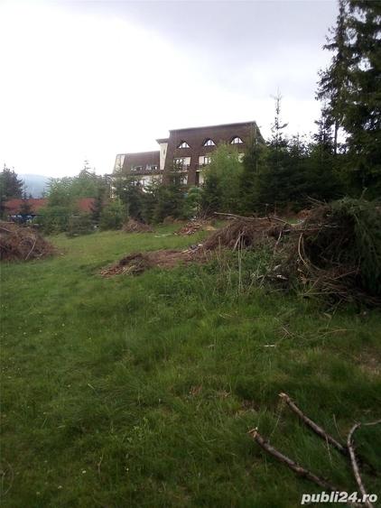 Teren de 17000 mp, în Muntele Băișorii