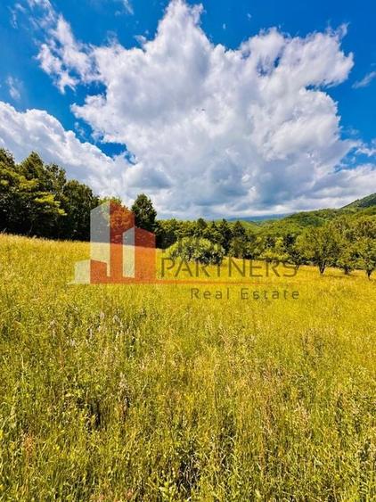 Teren de la 2772 mp Podul Simonului- Bran - 12