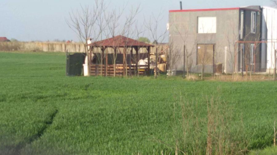 Teren 800mp Buftea zona mixta, zona Str. Milano - 5