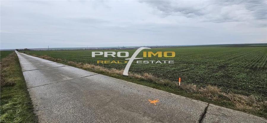 Plaja Corbu-Teren 4200mp. cu deschidere la Soseaua asfaltata - 13