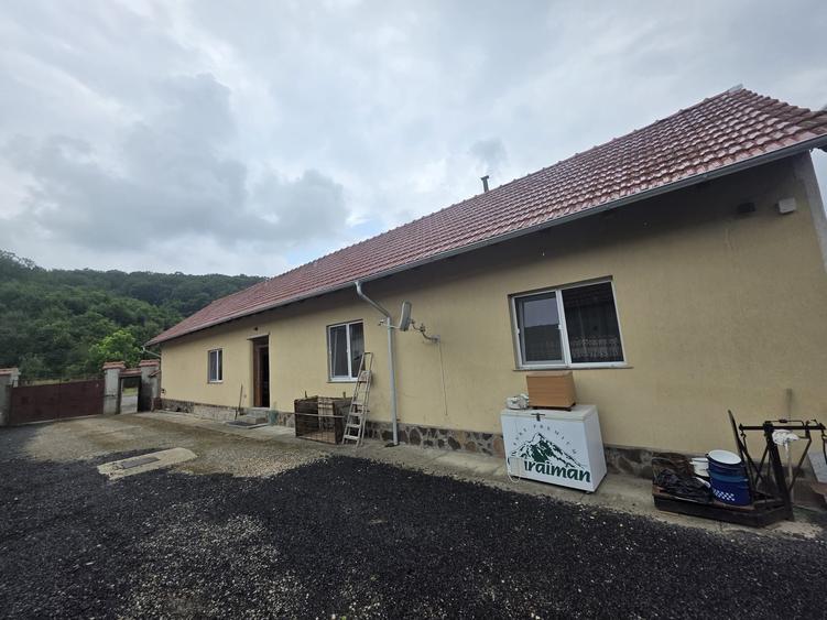 Vand casa individuala parter la intrare in Dumbravita - 1