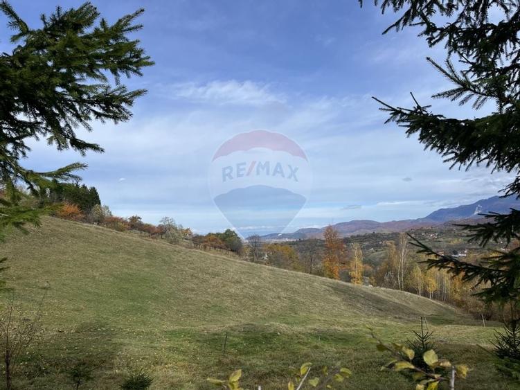 Teren de Vis in Bran - 1000mp Plat, Liniste Absoluta si Aer Curat - 12