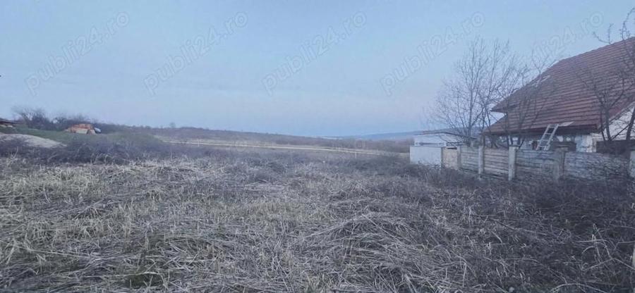 Teren de vanzare, loc. Paleu - 8