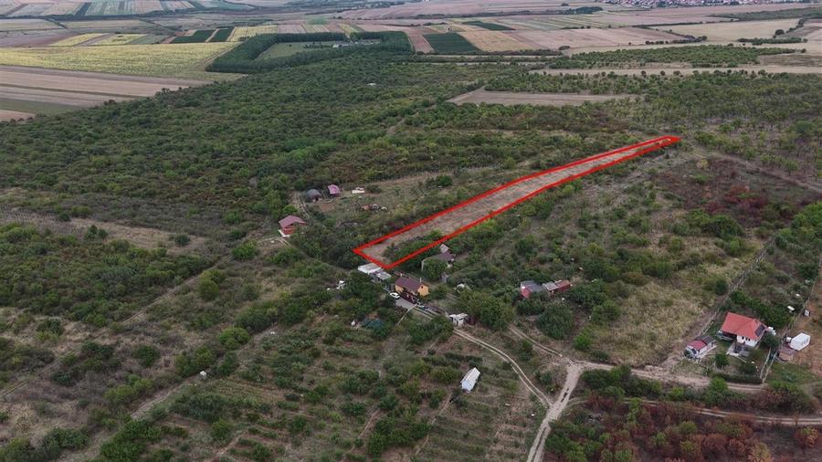 RECO Teren Episcopia - 6