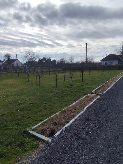 Casă de vânzare in Vărădia de Mureș - 6