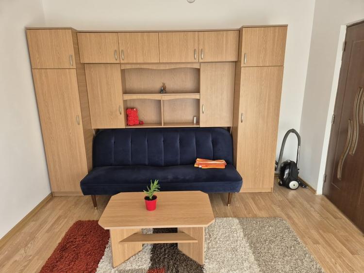 Garsoniera/Apartament 1 camera, 32mp, panorama, investitie, Floresti - 3