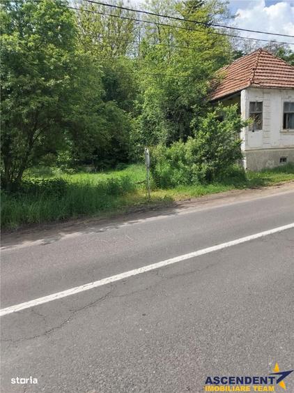 Domeniu verde autentic, +5.000mp, front la DJ, Valcele, Brasov -- Cov - 8