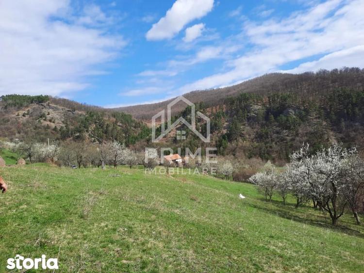 TEREN INTRAVILAN 13700 MP, INURI, VINTU DE JOS - 4