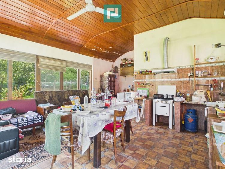 Casa Campani, 8000 mp teren, la poalele Apusenilor - 17