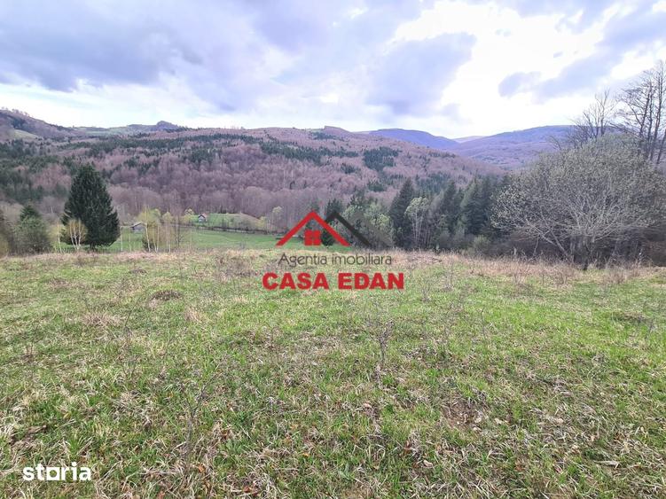 Teren de 20500 mp, în Valea Doftanei
