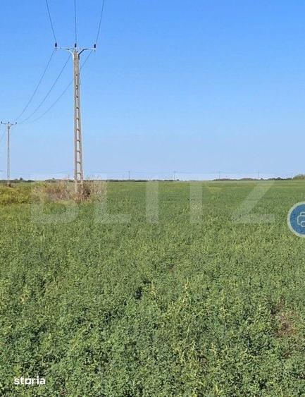 Teren de 250000 mp, în Giulvăz