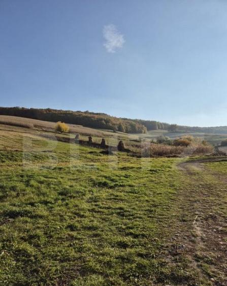 Proprietate de vanzare in Bardesti cu 1900 mp teren - 10