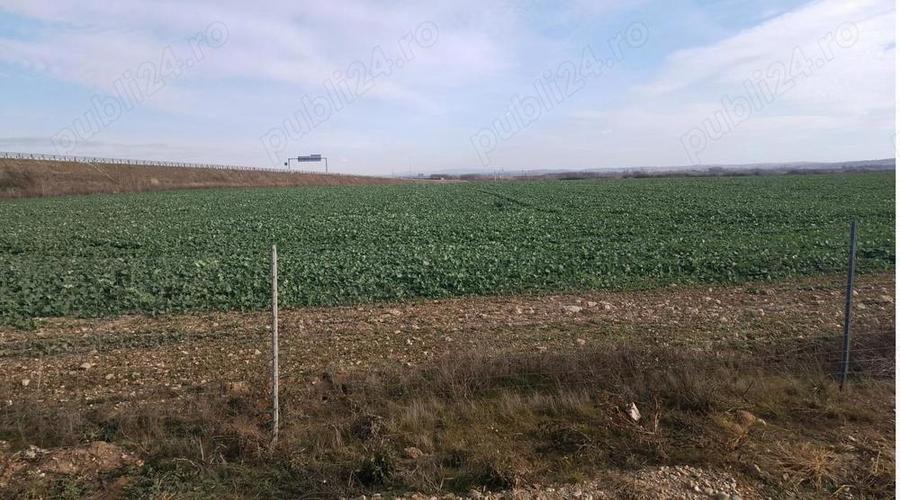 Vindem teren intravilan Biharia - 2