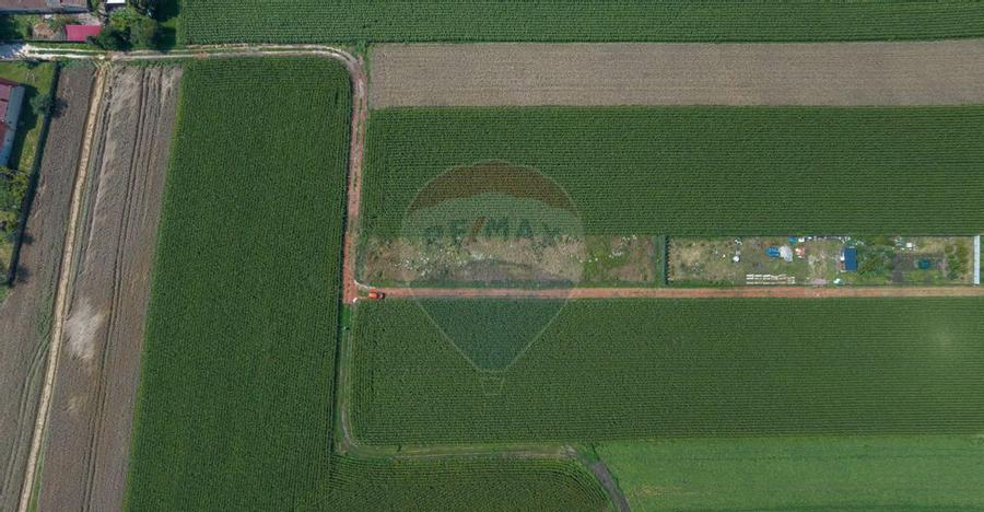 Teren de 1100 mp de vanzare in Stupini - 11