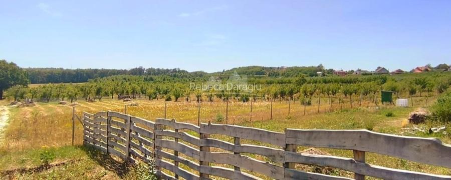 Teren intravilan de vanzare - Paleu, judetul Bihor