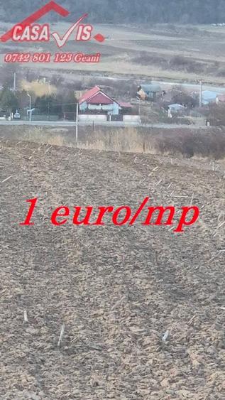 Teren 1 euro/mp pentru iarba verde - 2