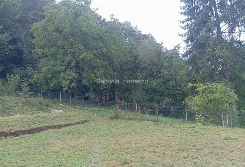 Casa rustica cu semineu,1.100mp teren, priveliste,padure:refugiu autentic in nat