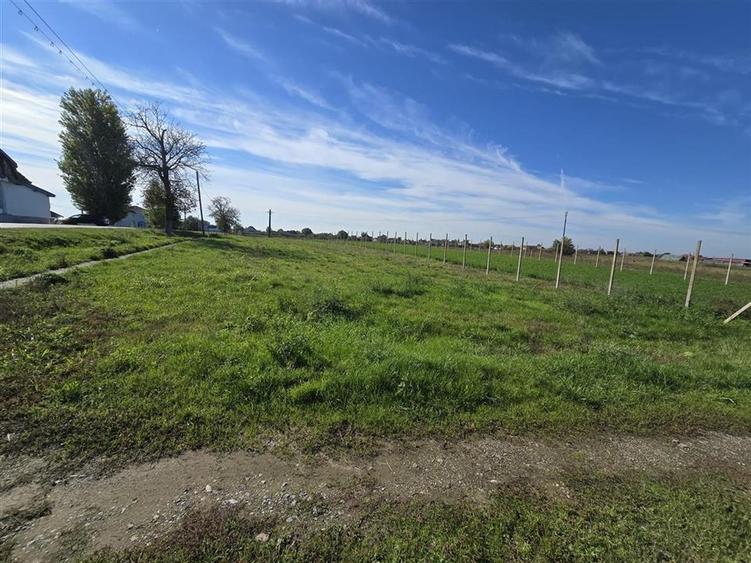 TEREN INTRAVILAN | 1400 MP | GIRISU DE CRIS - 3