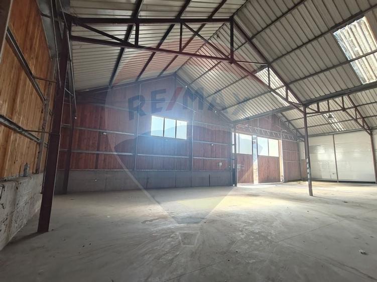 Spațiu depozitare de 312mp de închiriat în zona Baciu - 2