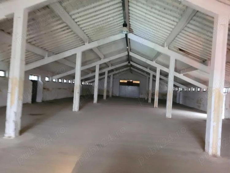 Hale de inchiriat - 1200m2 pana la 7200m2 Teiu Jud Hunedoara langa autostrada - 3