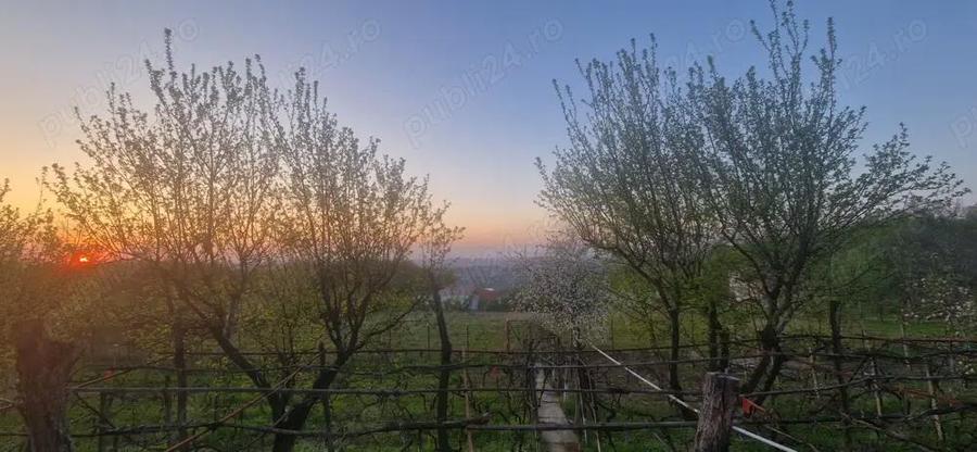 Casa de vanzare Bucium Pietrarie Iasi - 5