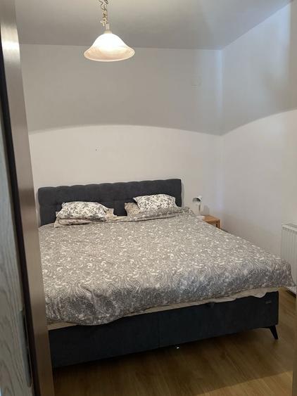 Vand casa in Bogda, Timis - 4