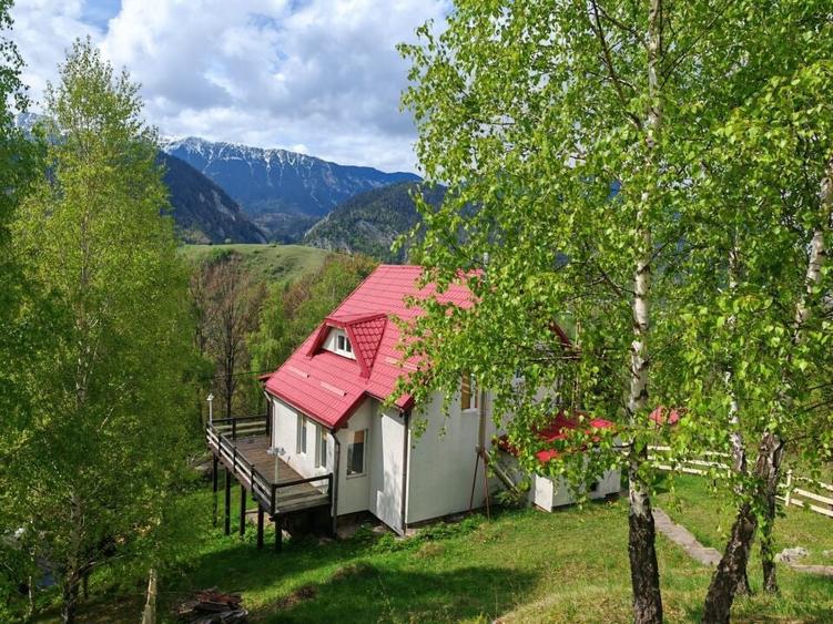 PESTERA CASA DE VANZARE - MOECIU! - 1