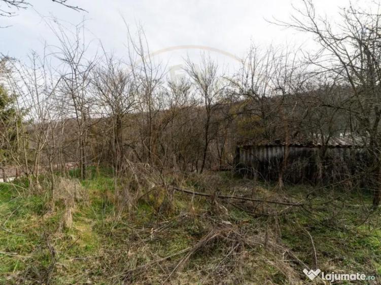 Teren de vanzare 1221 mp in Budeasa Mica, zona lini? - 1