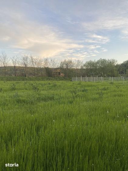 Teren -parcelabil Terenul se parceleaza- Leamna de Jos 2750 mp - 1