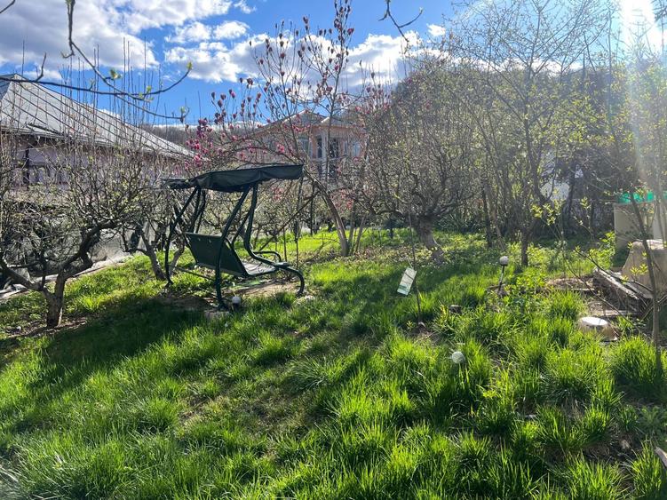 Casa cu teren generos in statiunea balneara Baile Govora - 7
