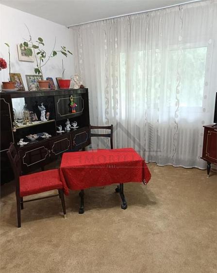 Apartament 1 camera Frumoasa - 3