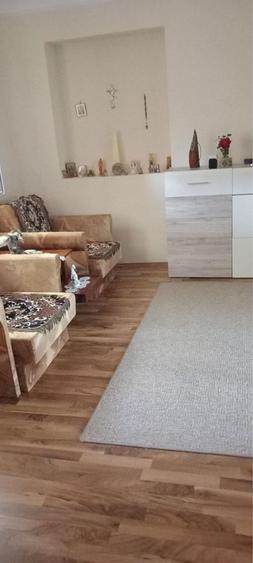 Casa de vanzare in Valea lui Mihai - 1