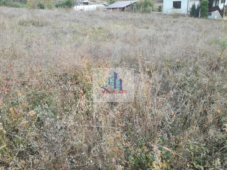Teren agricol extravilan de 5755 mp, în Iris