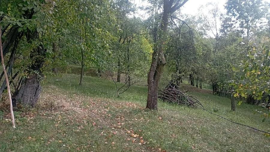 Teren de 9000 mp, în Secăria