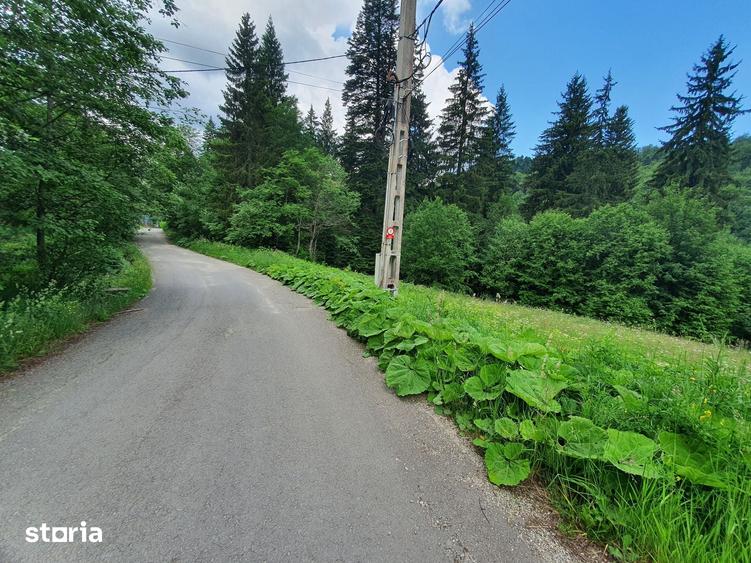 Teren de 745 mp, în Central