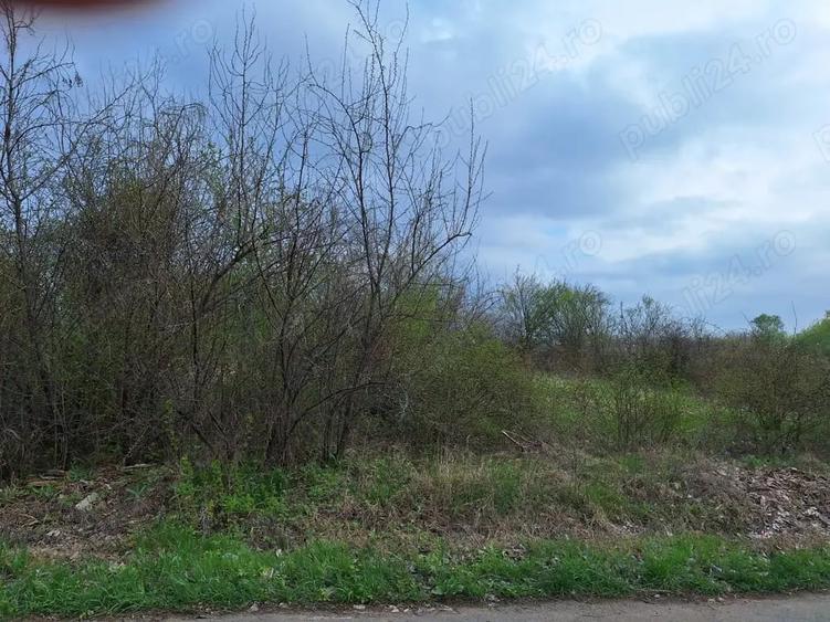 Teren de 726 mp, în Sinești